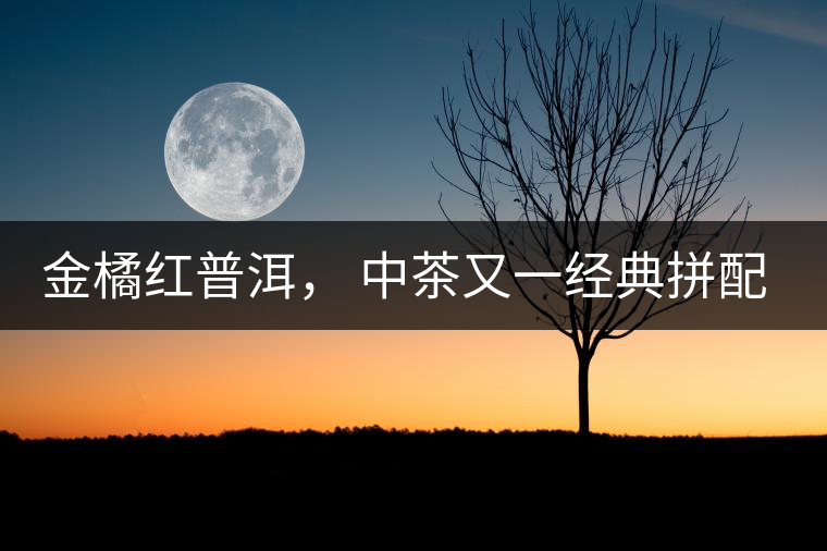 金橘紅普洱， 中茶又一經(jīng)典拼配力作，值得期待！