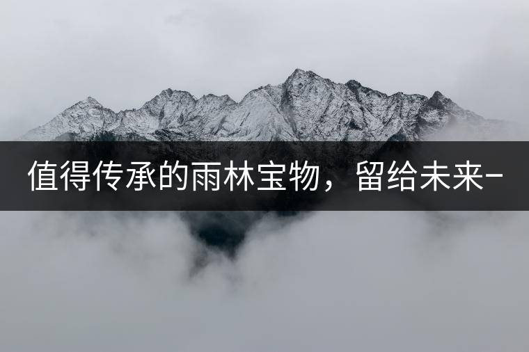 值得傳承的雨林寶物，留給未來一點“回甘”！
