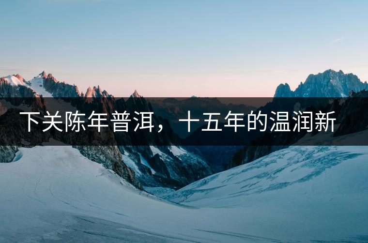 下關(guān)陳年普洱，十五年的溫潤新生