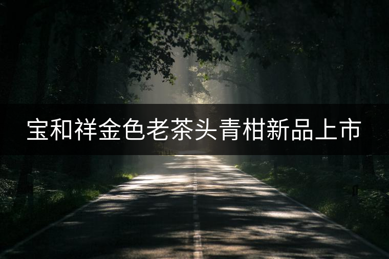 寶和祥金色老茶頭青柑新品上市