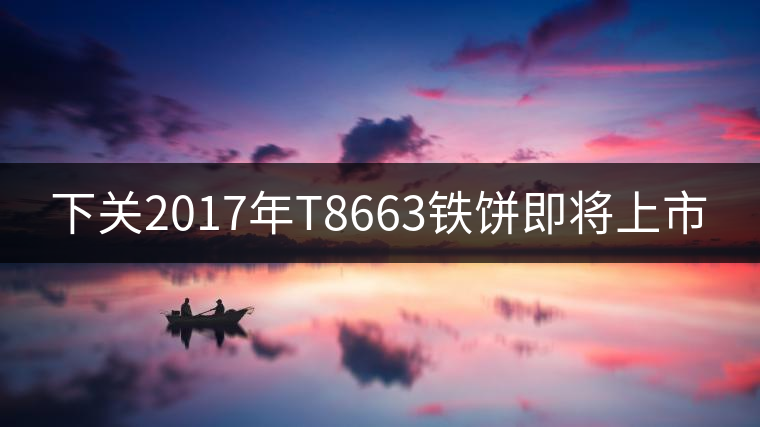 下關(guān)2017年T8663鐵餅即將上市 下關(guān)2017年T8663鐵餅即將上市