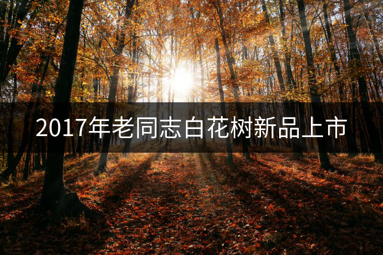 2017年老同志白花樹新品上市 2017年老同志白花樹新品上市