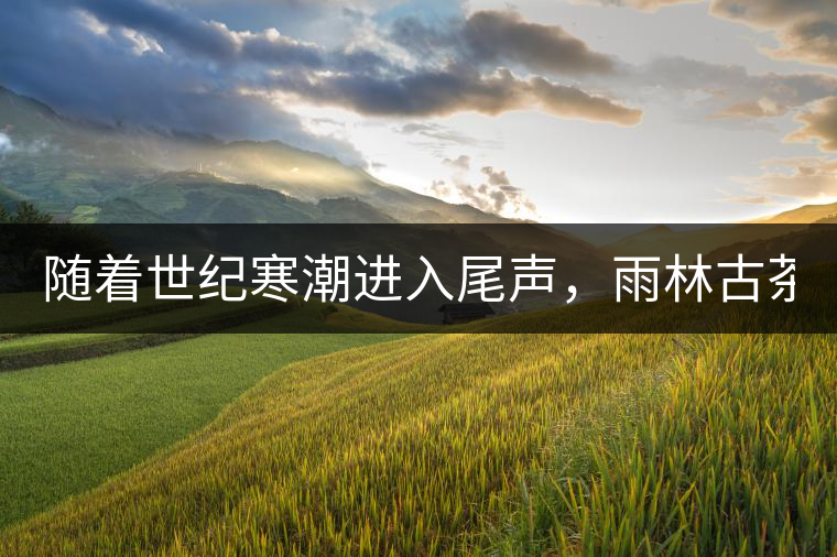 隨著世紀(jì)寒潮進(jìn)入尾聲，雨林古茶坊