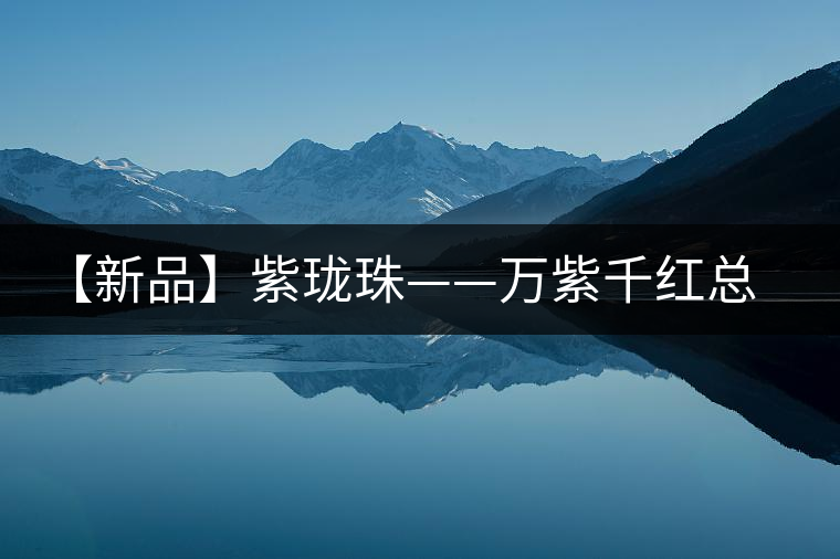 【新品】紫瓏珠——萬紫千紅總為秋 【新品】紫瓏珠——萬紫千紅總為秋