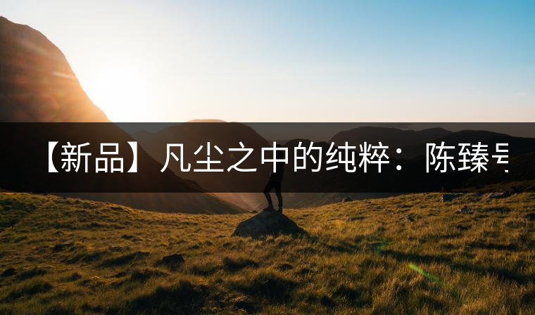 【新品】凡塵之中的純粹：陳臻號2016年精品青餅即將上市！