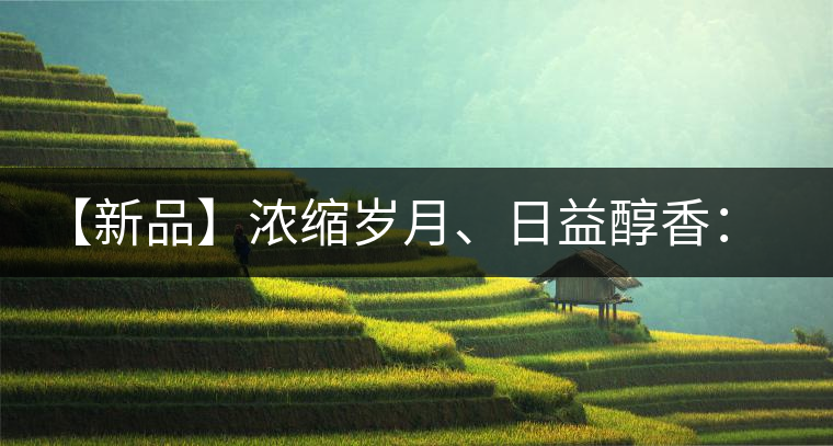 【新品】濃縮歲月、日益醇香：陳臻號陳品熟餅即將上市！