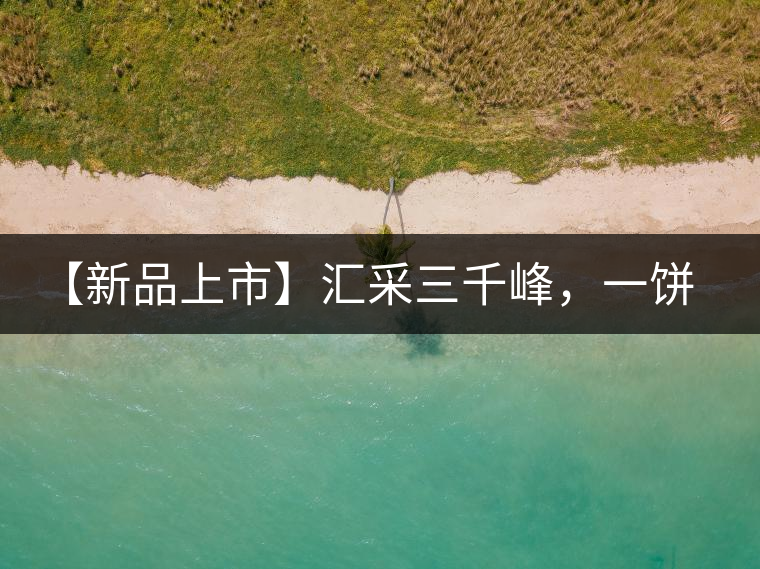 【新品上市】匯采三千峰，一餅群山鑄——群峰之峻！