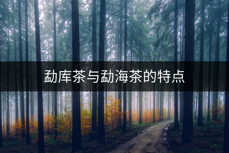 勐庫茶與勐海茶的特點