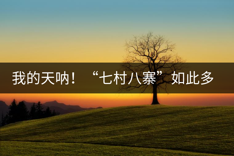 我的天吶！“七村八寨”如此多的易武茶，品質(zhì)特色如何分辨？