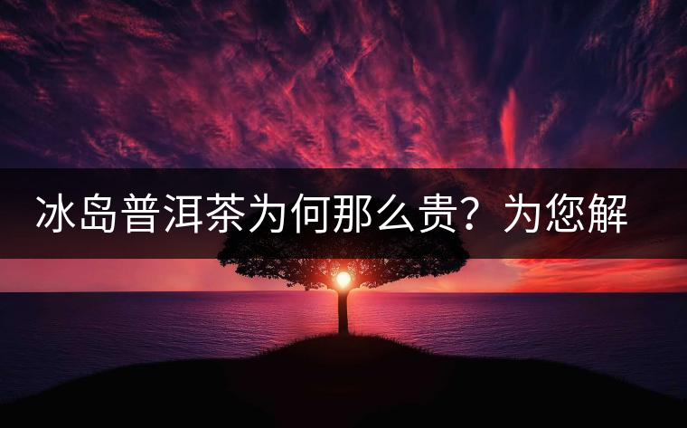 冰島普洱茶為何那么貴？為您解析其中的原由