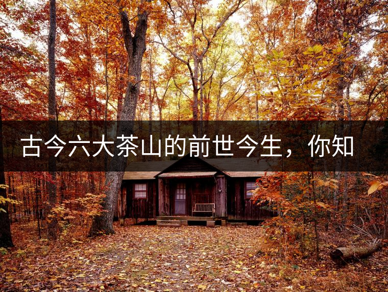 古今六大茶山的前世今生，你知多少？
