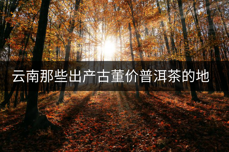 云南那些出產(chǎn)古董價(jià)普洱茶的地方，風(fēng)景如畫！