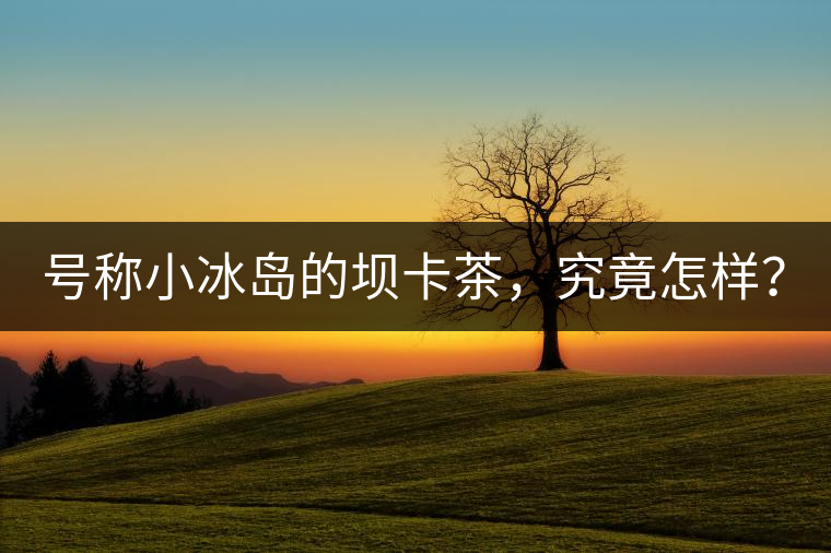 號(hào)稱小冰島的壩卡茶，究竟怎樣？