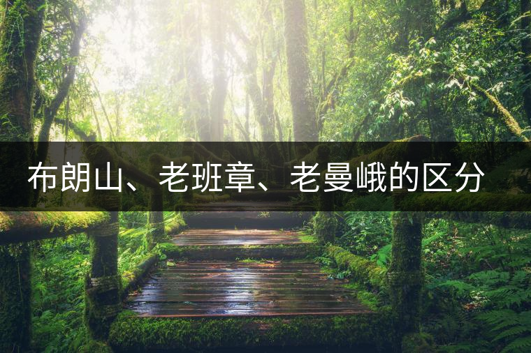 布朗山、老班章、老曼峨的區(qū)分和鑒別