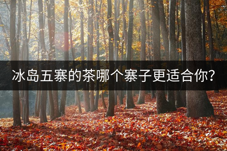 冰島五寨的茶哪個(gè)寨子更適合你？