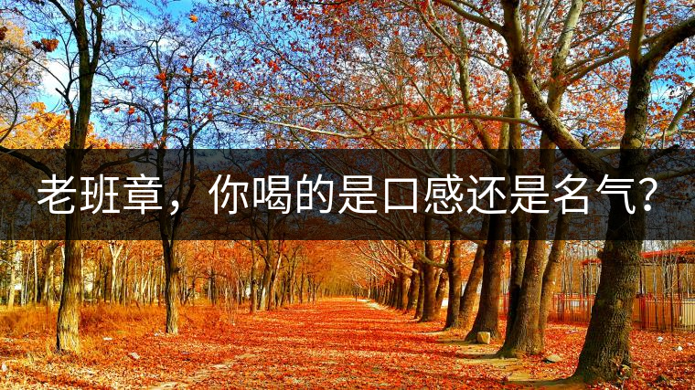 老班章，你喝的是口感還是名氣？