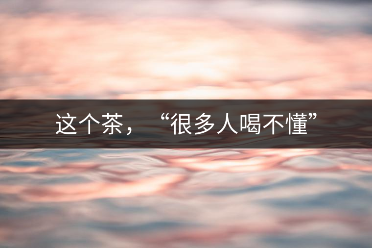 這個茶，“很多人喝不懂”