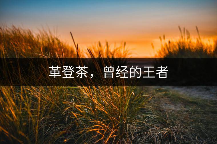 革登茶，曾經(jīng)的王者