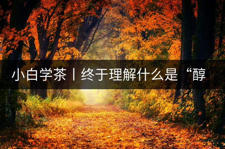 小白學(xué)茶丨終于理解什么是“醇厚、耐泡，回甘”了