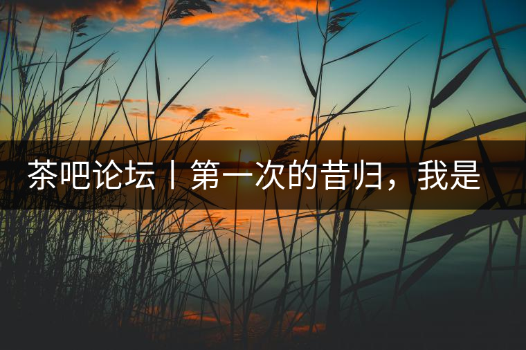 茶吧論壇丨第一次的昔歸，我是這樣喝到的