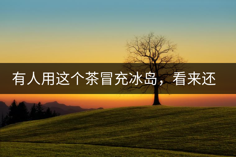 有人用這個茶冒充冰島，看來還是有幾分道理