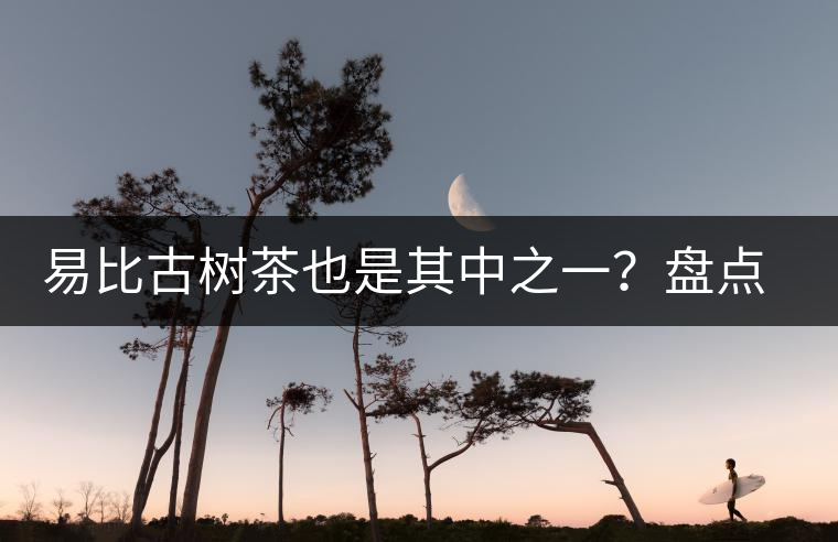 易比古樹茶也是其中之一？盤點(diǎn)當(dāng)下易武最火的十大古樹茶！