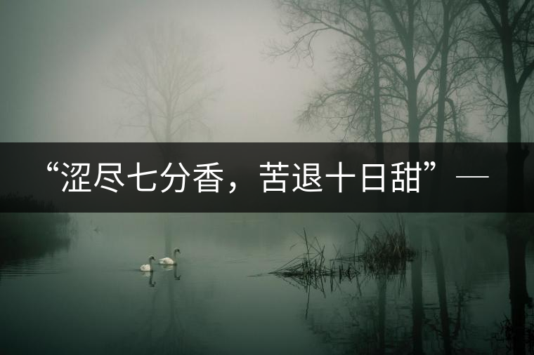 “澀盡七分香，苦退十日甜”─ 老曼娥