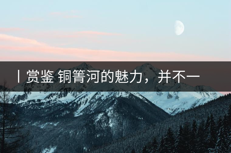 丨賞鑒 銅箐河的魅力，并不一定要古樹來體現(xiàn)