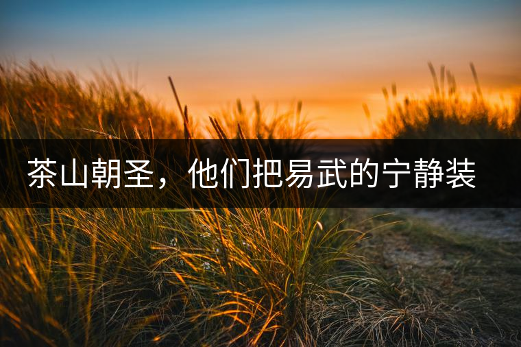 茶山朝圣，他們把易武的寧?kù)o裝進(jìn)心里，卻把成堆垃圾留在