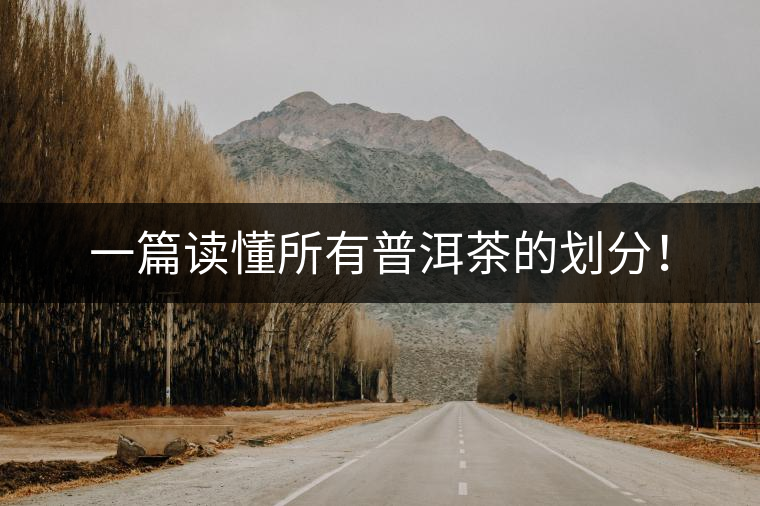 一篇讀懂所有普洱茶的劃分！