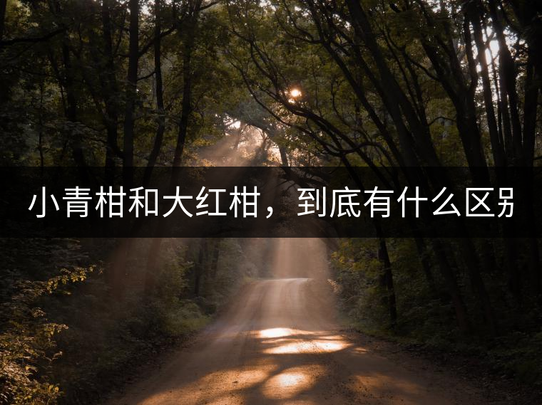 小青柑和大紅柑，到底有什么區(qū)別？