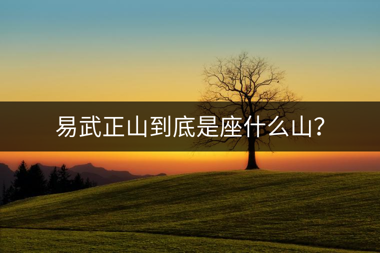 易武正山到底是座什么山？