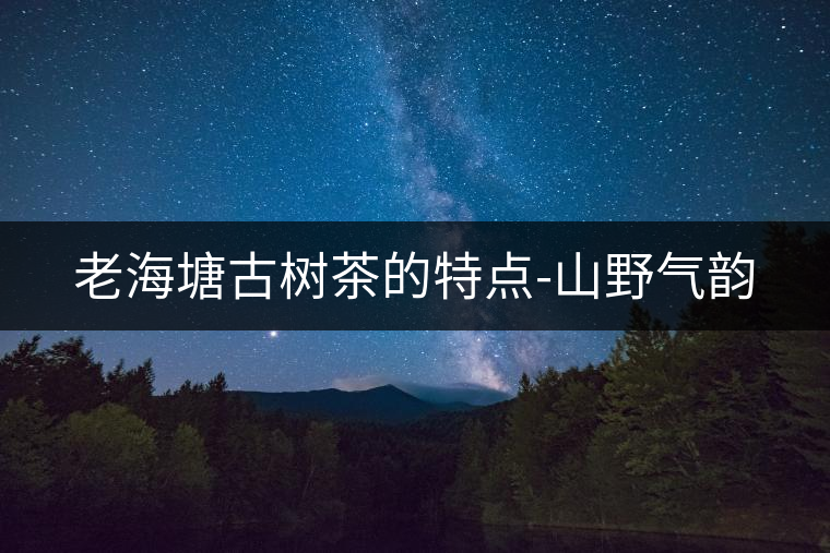 老海塘古樹(shù)茶的特點(diǎn)-山野氣韻