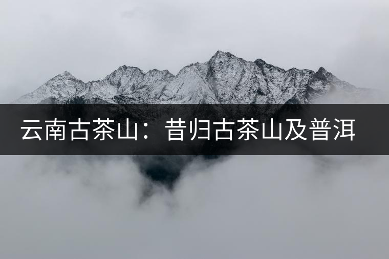 云南古茶山：昔歸古茶山及普洱茶特點(diǎn)
