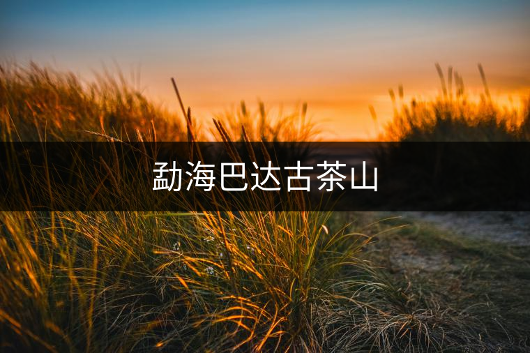 勐海巴達(dá)古茶山