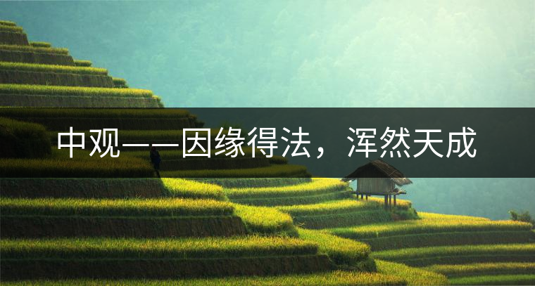 中觀——因緣得法，渾然天成