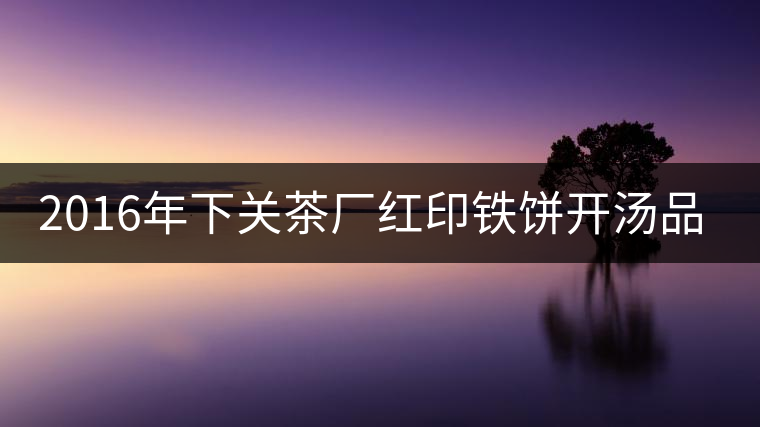 2016年下關茶廠紅印鐵餅開湯品鑒