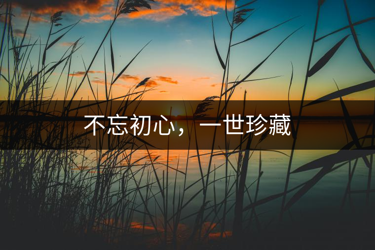 不忘初心，一世珍藏