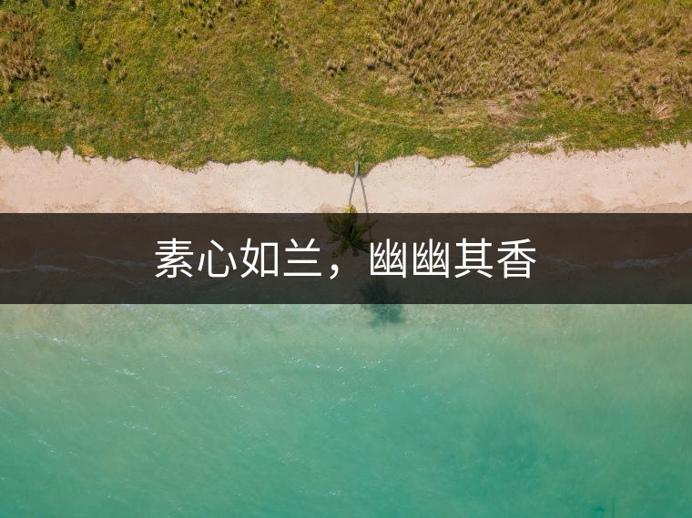 素心如蘭，幽幽其香