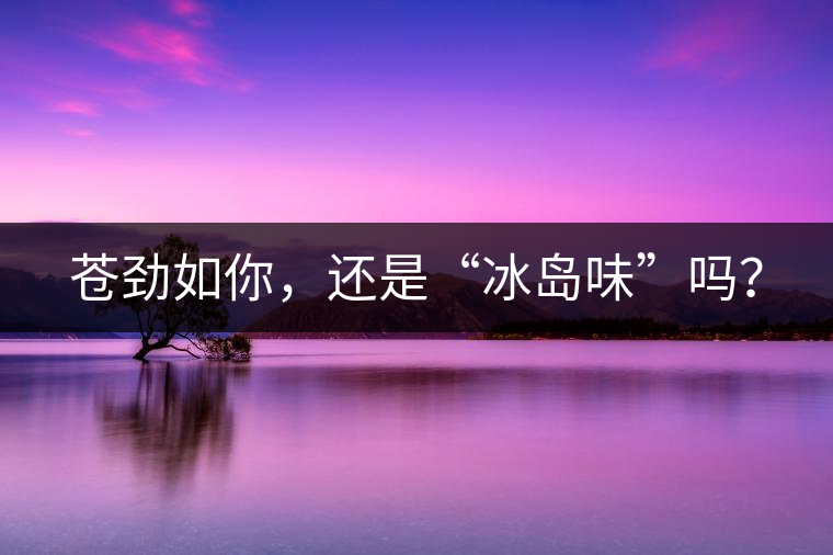 蒼勁如你，還是“冰島味”嗎？
