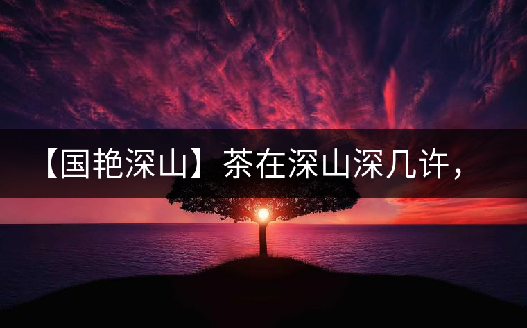 【國艷深山】茶在深山深幾許，布朗味釅釅幾分！