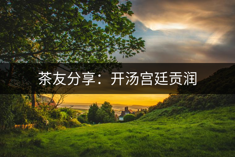 茶友分享：開湯宮廷貢潤(rùn)