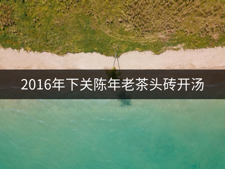 2016年下關陳年老茶頭磚開湯