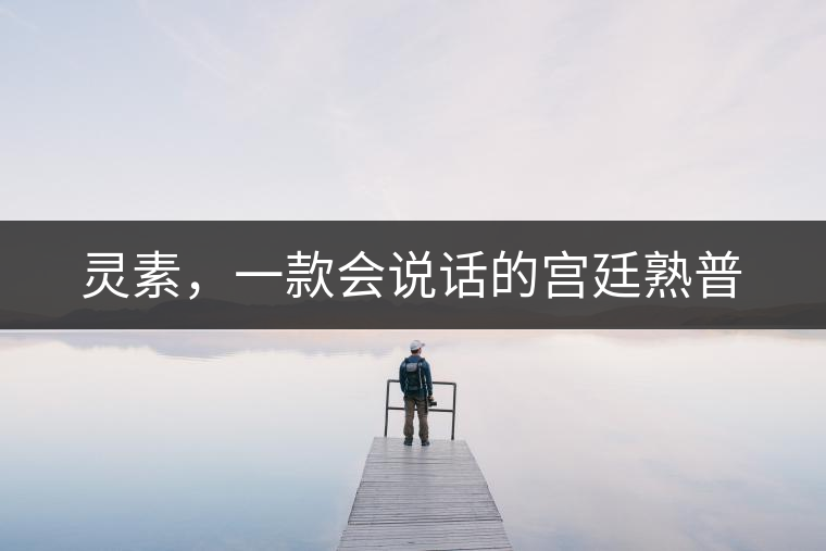 靈素，一款會(huì)說話的宮廷熟普