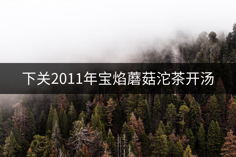 下關(guān)2011年寶焰蘑菇沱茶開(kāi)湯