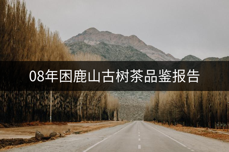 08年困鹿山古樹茶品鑒報(bào)告 08年困鹿山古樹茶品鑒報(bào)告