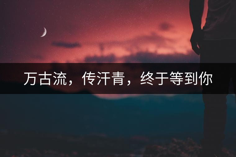 萬(wàn)古流，傳汗青，終于等到你