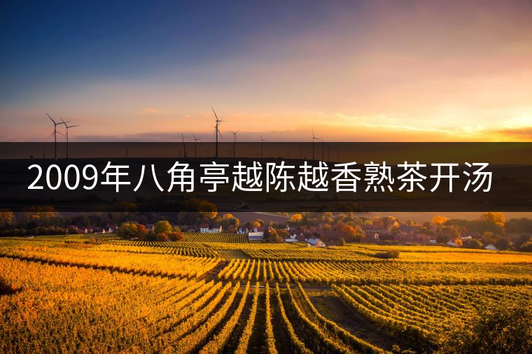 2009年八角亭越陳越香熟茶開(kāi)湯品鑒 2009年八角亭越陳越香熟茶開(kāi)湯品鑒