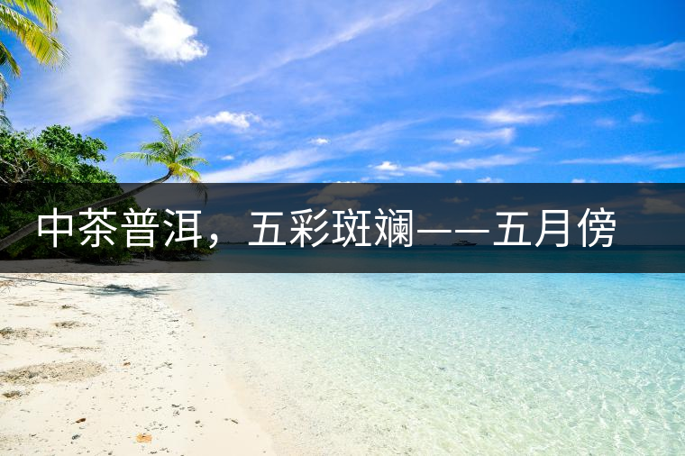 中茶普洱，五彩斑斕——五月傍晚，一道茶