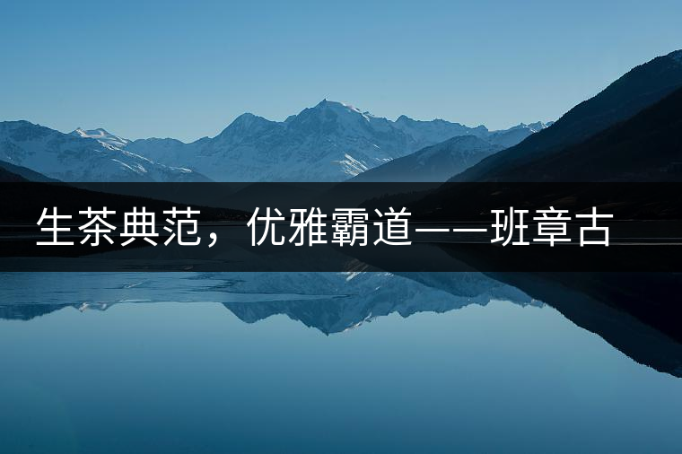 生茶典范，優(yōu)雅霸道——班章古韻